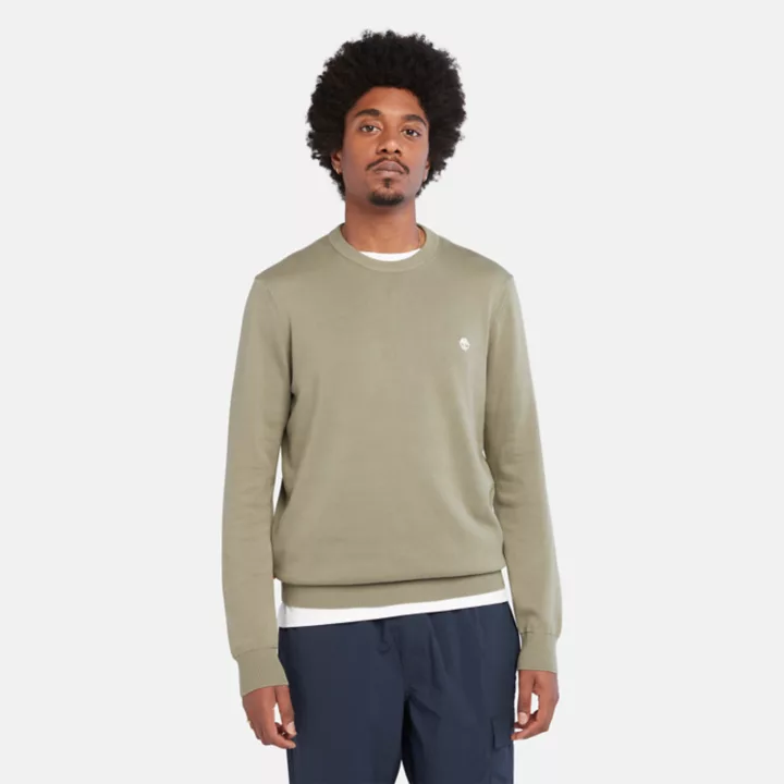 Pull à col rond Williams River pour homme en vert clair
