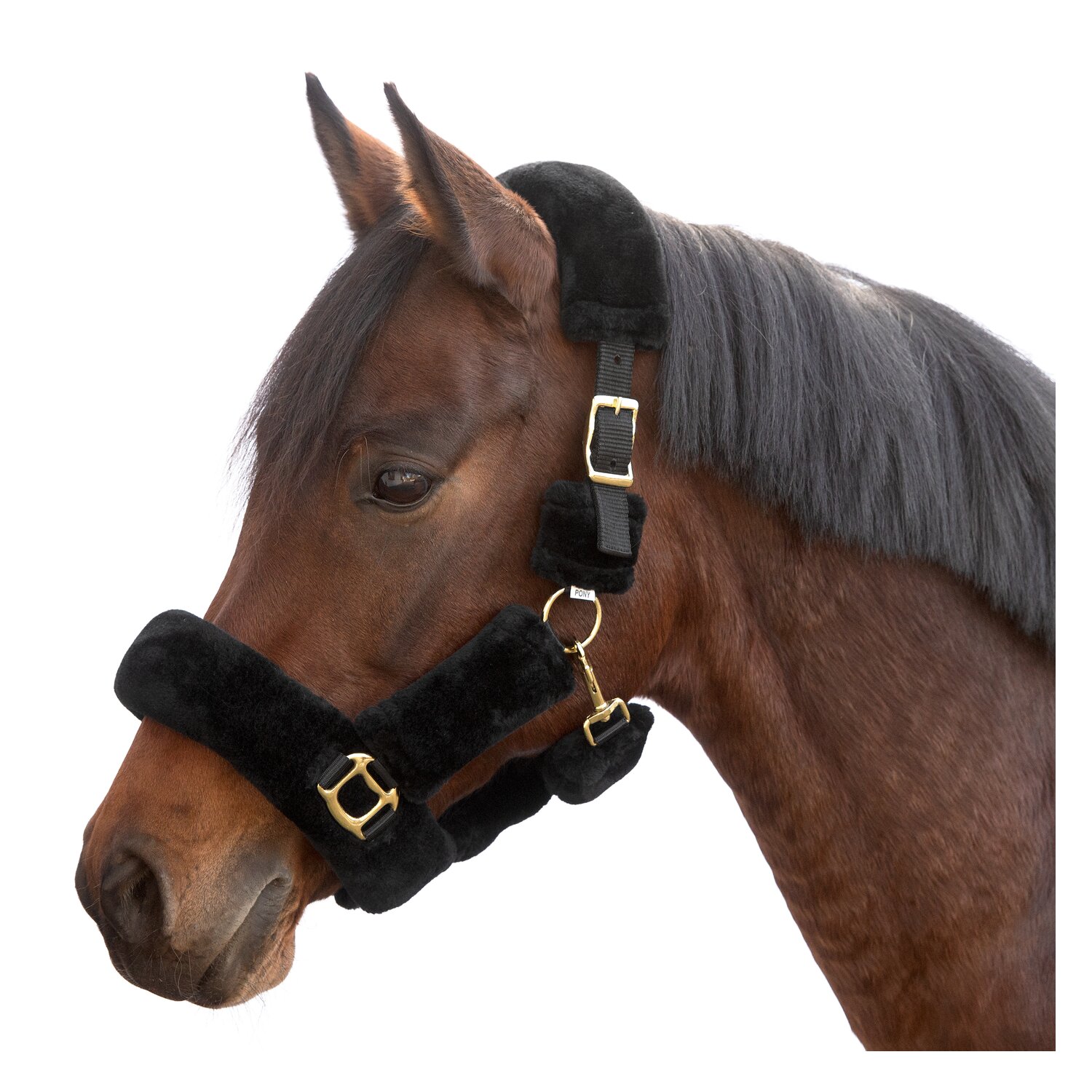 Horse-friends Plüschhalfter Almada - black