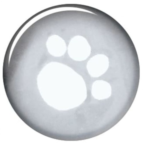 Capa de chuva impermeável para cães Tarbes, transparente