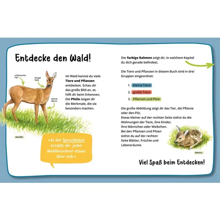 KOSMOS Mein 1. Naturführer - Was lebt im Wald?