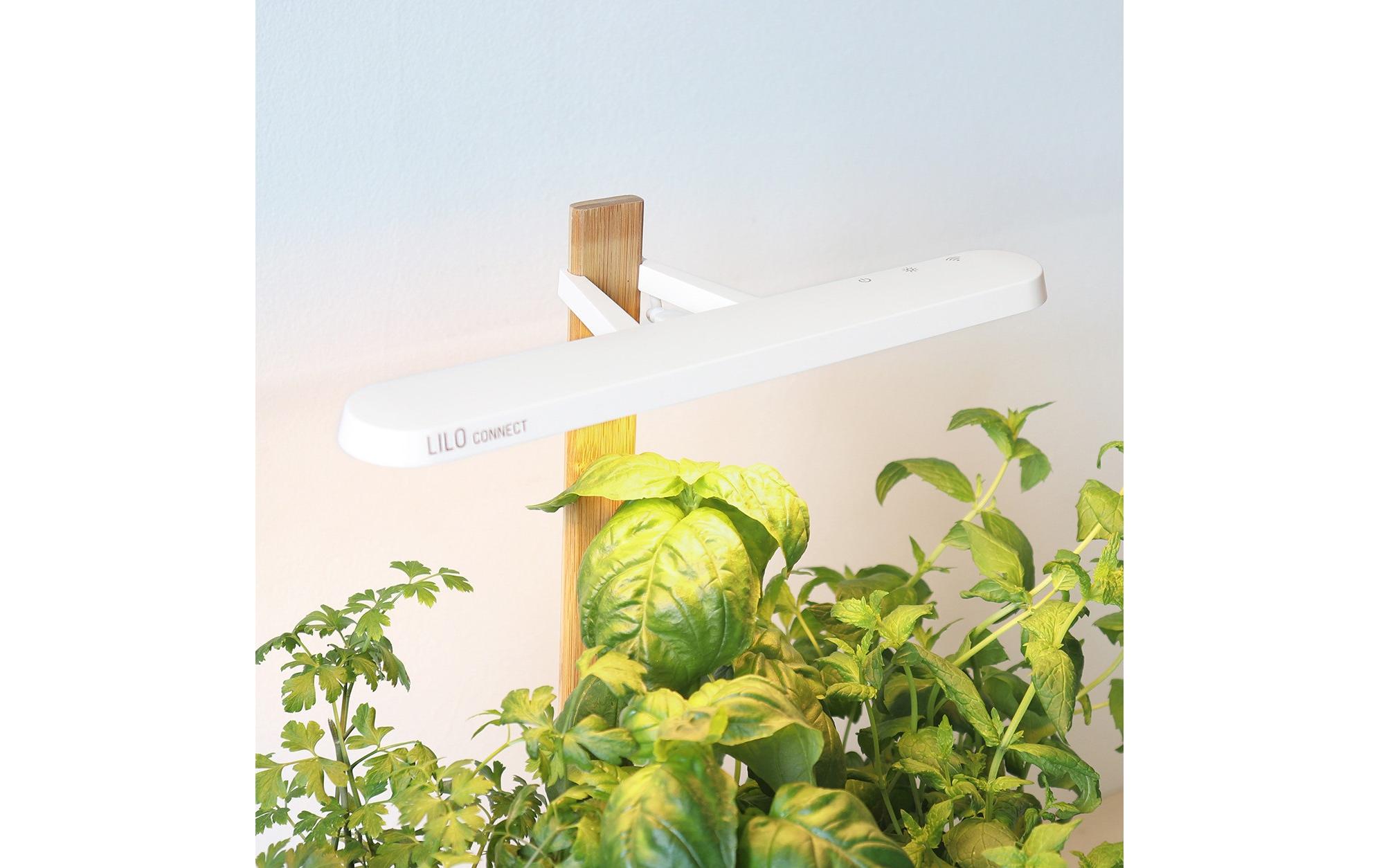 Kräutertopf Indoor Lilo Connect WeissDer smarte, kompakte und intuitive Indoor-Garten