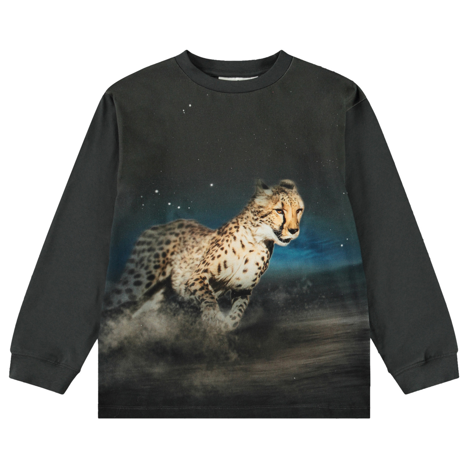 Rube - Cheetah Run