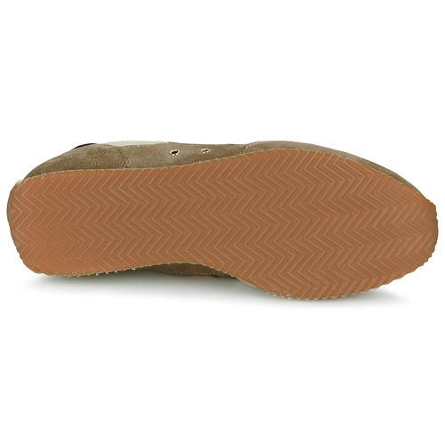 Serafini - LADY D - Beige / Marron