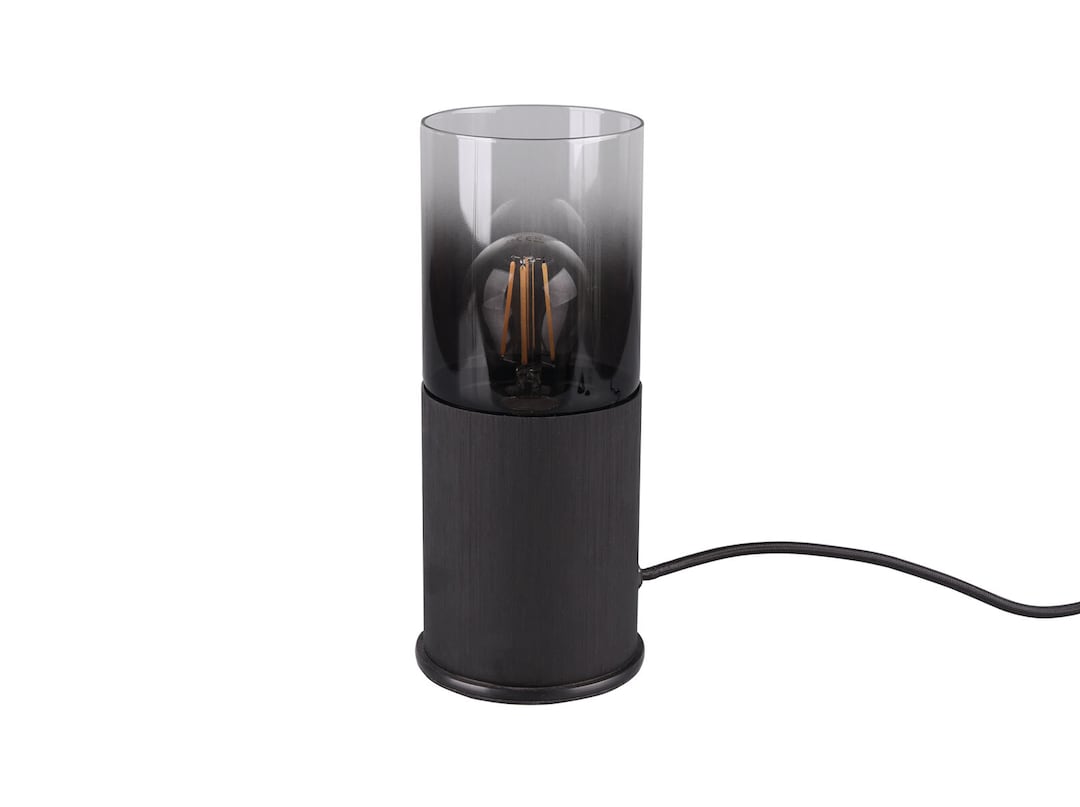 TRIO Retrofit Tischlampe ROBIN 25 cm