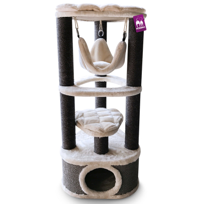 Petrebels Katzenbaum Kings & Queens Catharina120 royal Creme