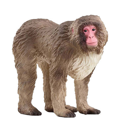 Schleich Wild Life - Japanischer Makakenaffe - H: 6,9 cm - 14871