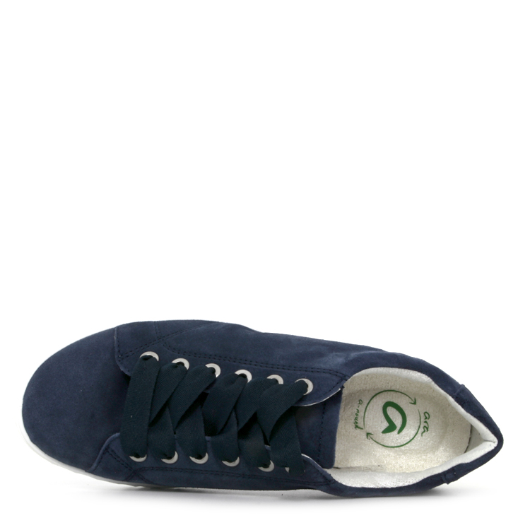 Ara 13640-10 | BLEU