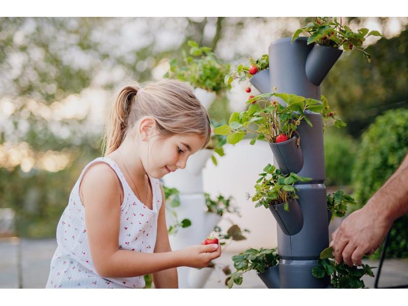 Gusta Garden Aufzuchttöpfe SISSI STRAWBERRY Classic, Anthra Urban Gardening Erdbeerbaum