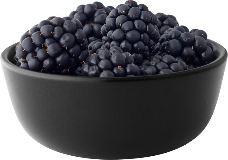Eva Solo Skål 0,15l Ø10cm Nordic kitchen Sort