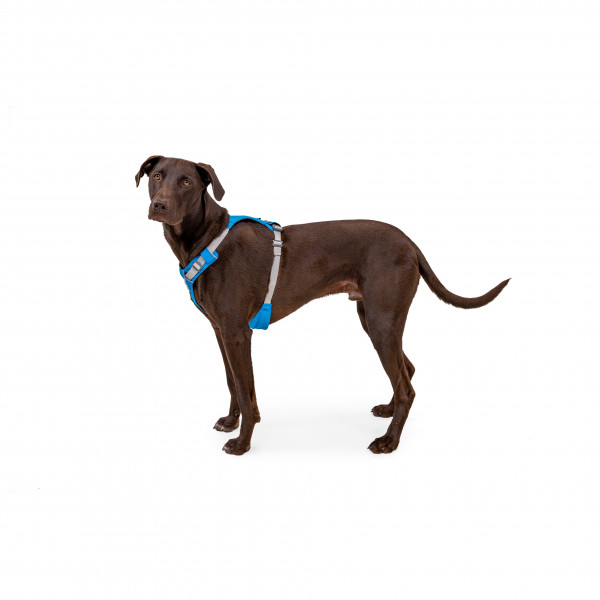 Ruffwear - Hi & Light Harness - Harnais pour chien