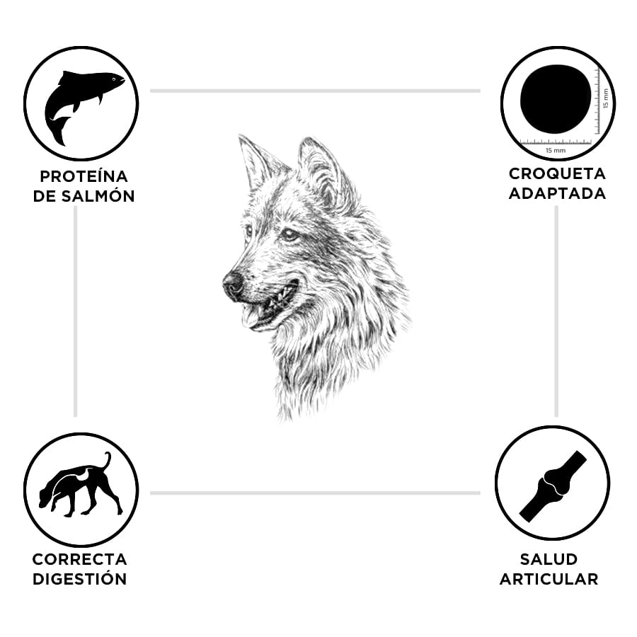 Ração para cães adultos da marca Breeders, sabor salmão e arroz, para raças médias e grandes.