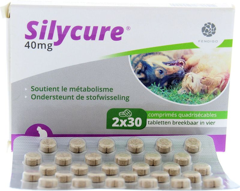 Silycure - Voedingssupplement - Ter Ondersteuning Van Leverfunctie - 40 Mg Silybine
