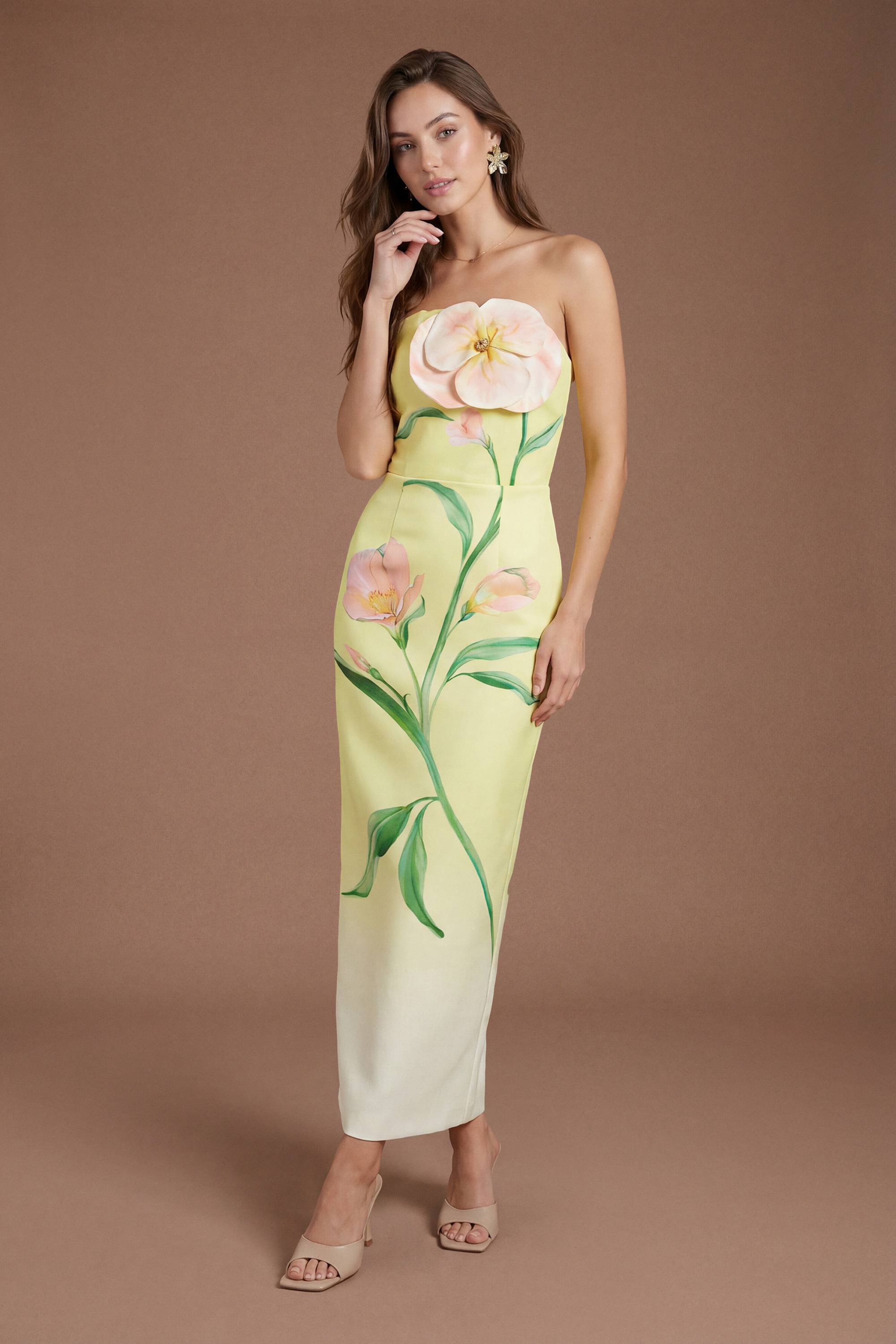 Coast Robe Crayon Bandeau À Imprimé Fleurs 3d