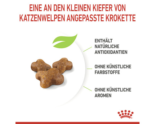 ROYAL CANIN Kitten droog kattenvoer 10 kg