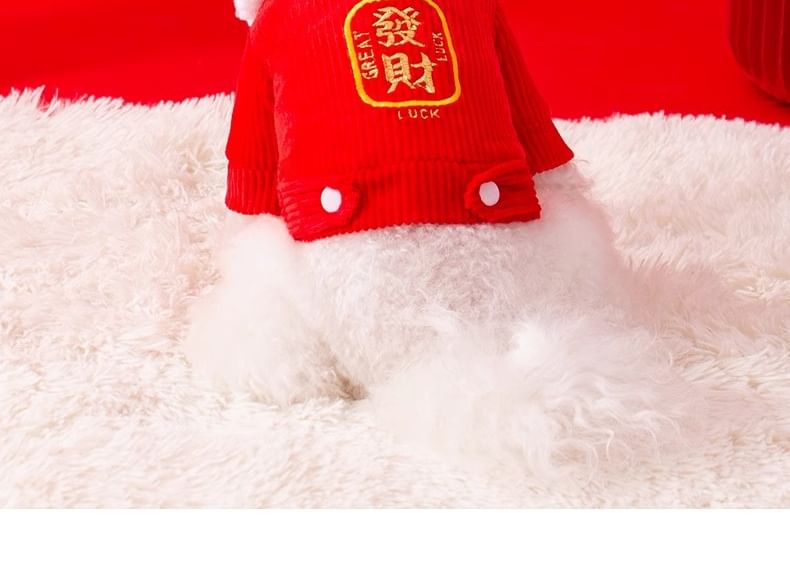 Cissilli - Fleece gevoerde huisdierentop met Chinese karakters
