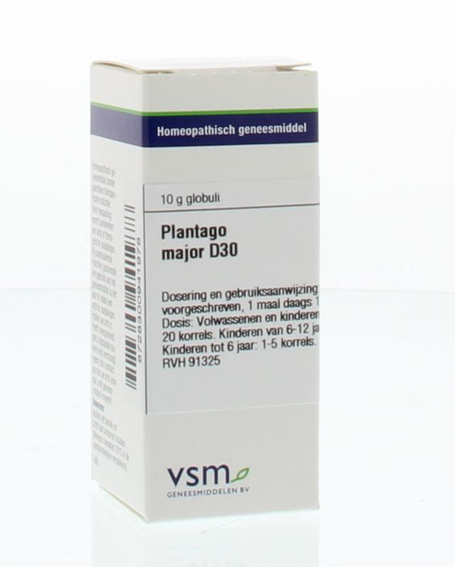 VSM Plantago major D30 10g