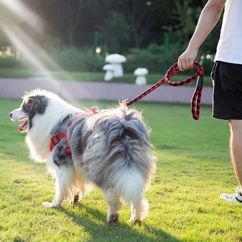Guia curta para cães MyPetCare, vermelha