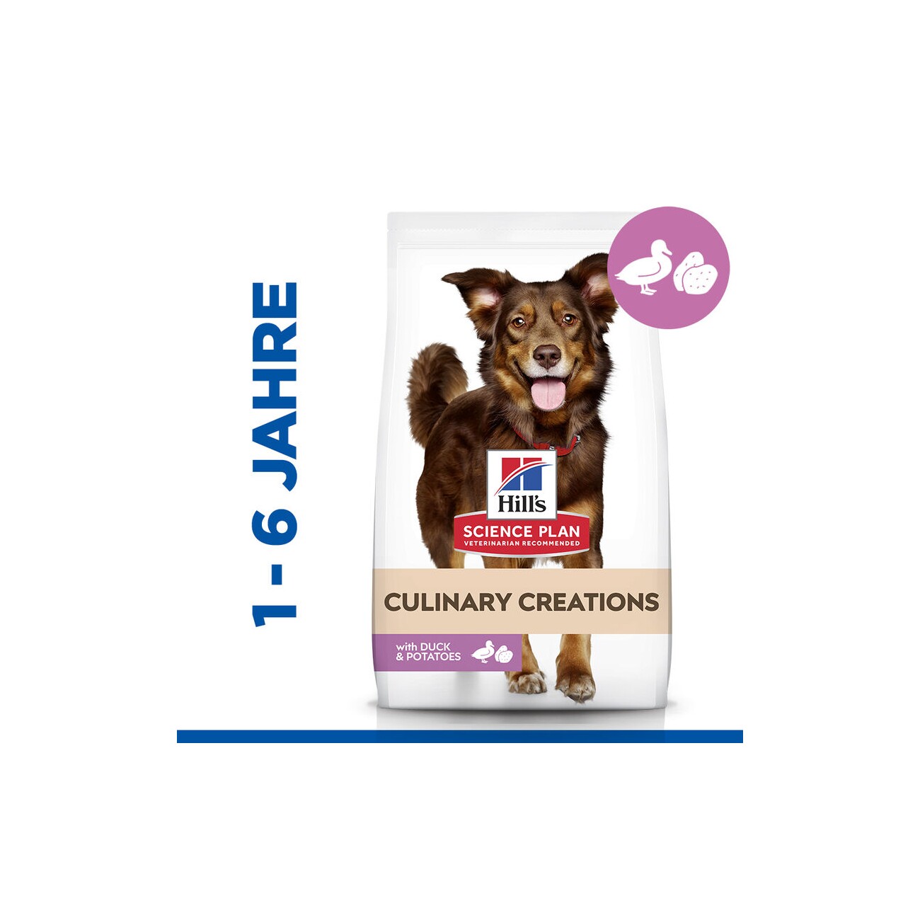 Hill's Science Plan Culinary Creations Adult mit Ente und Kartoffeln 2,5 kg