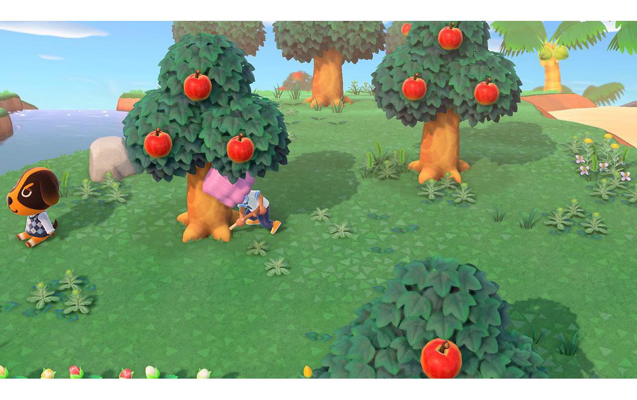 Animal Crossing: New HorizonsAnimal Crossing: New Horizons
