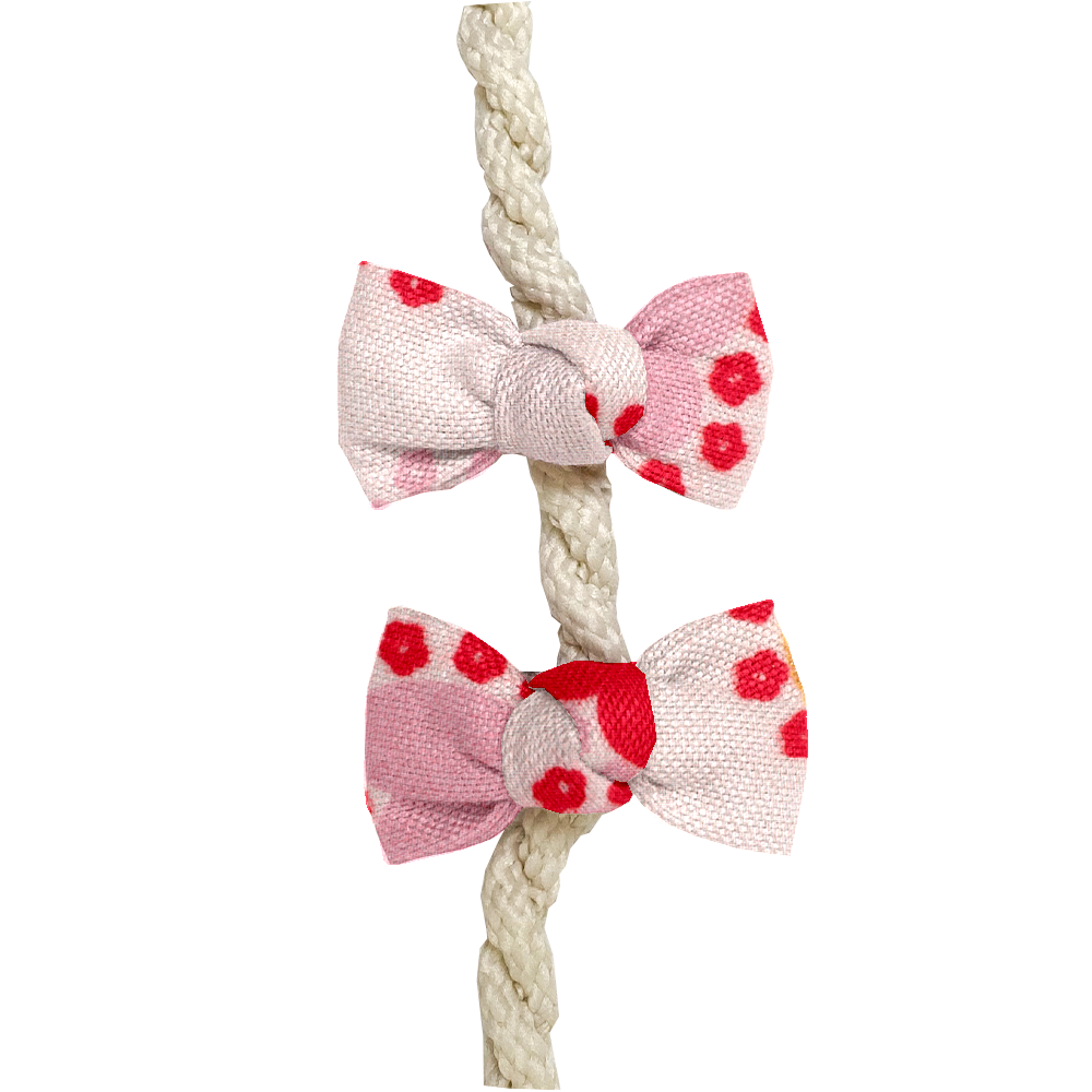 Barrettes Clic-Clac Petits Noeuds Petits Coeurs