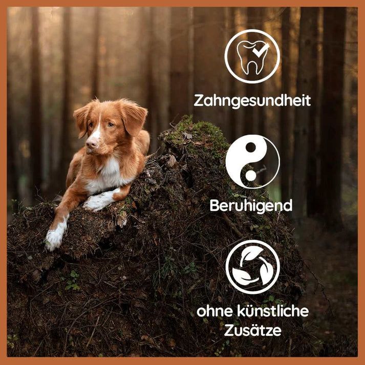 WILDFANG® Kaffeeholz-Kaustab