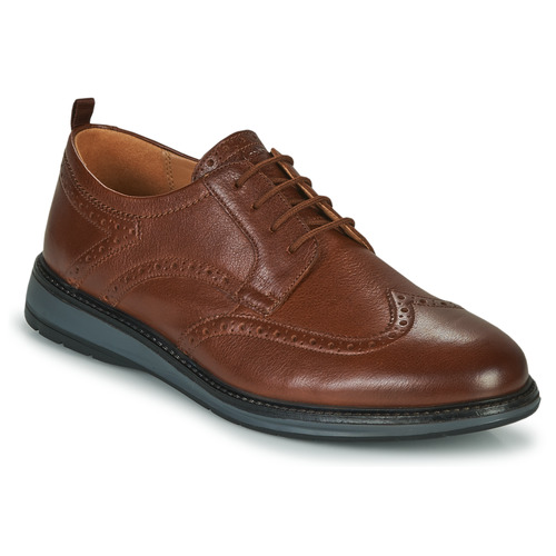 Clarks - CHANTRY WING - Marron