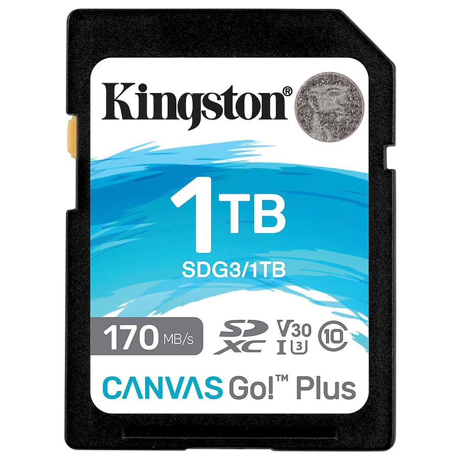 Kingston SD Plus Canvas Go! SDG3 - 1TB