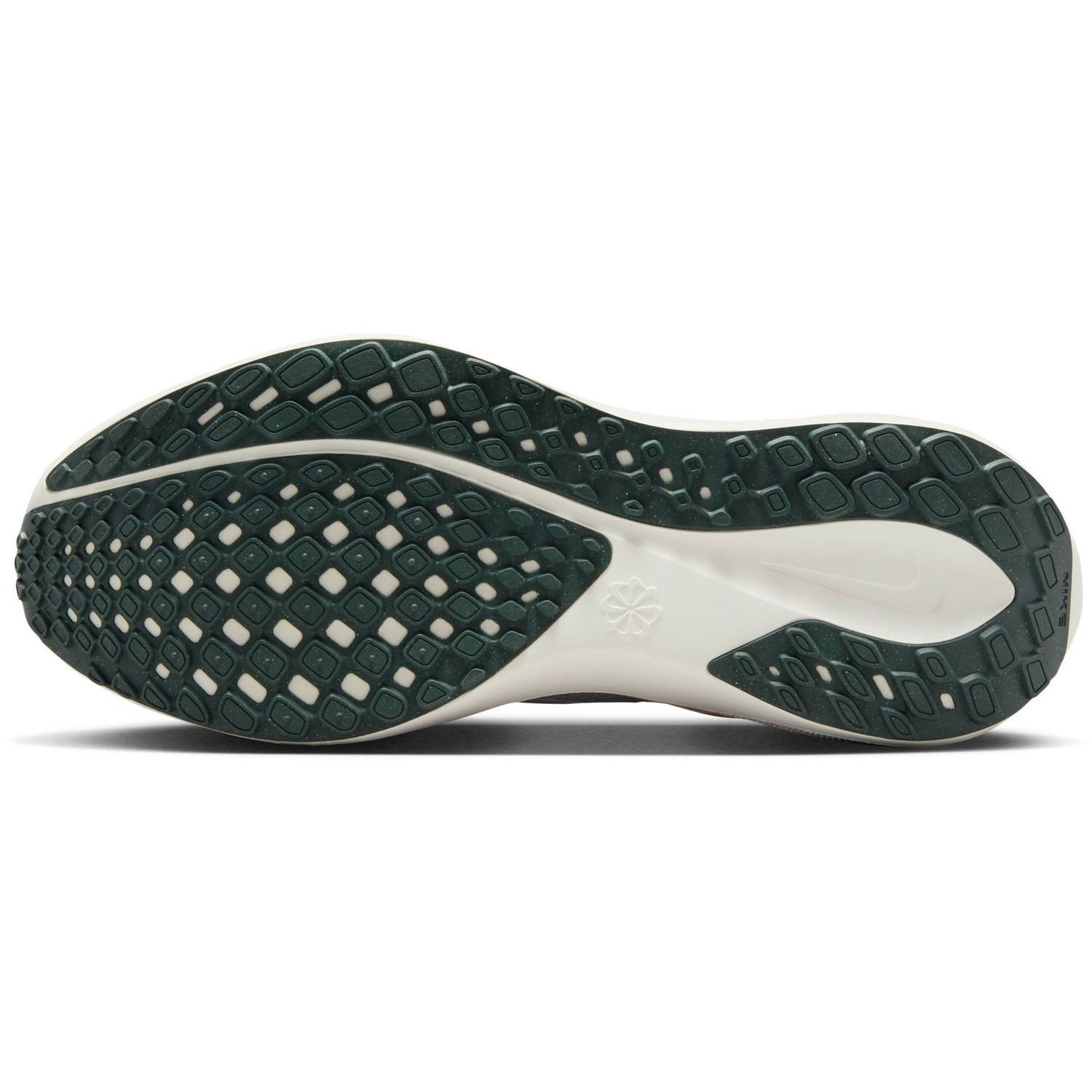 Nike Pegasus 41 PRM Dames