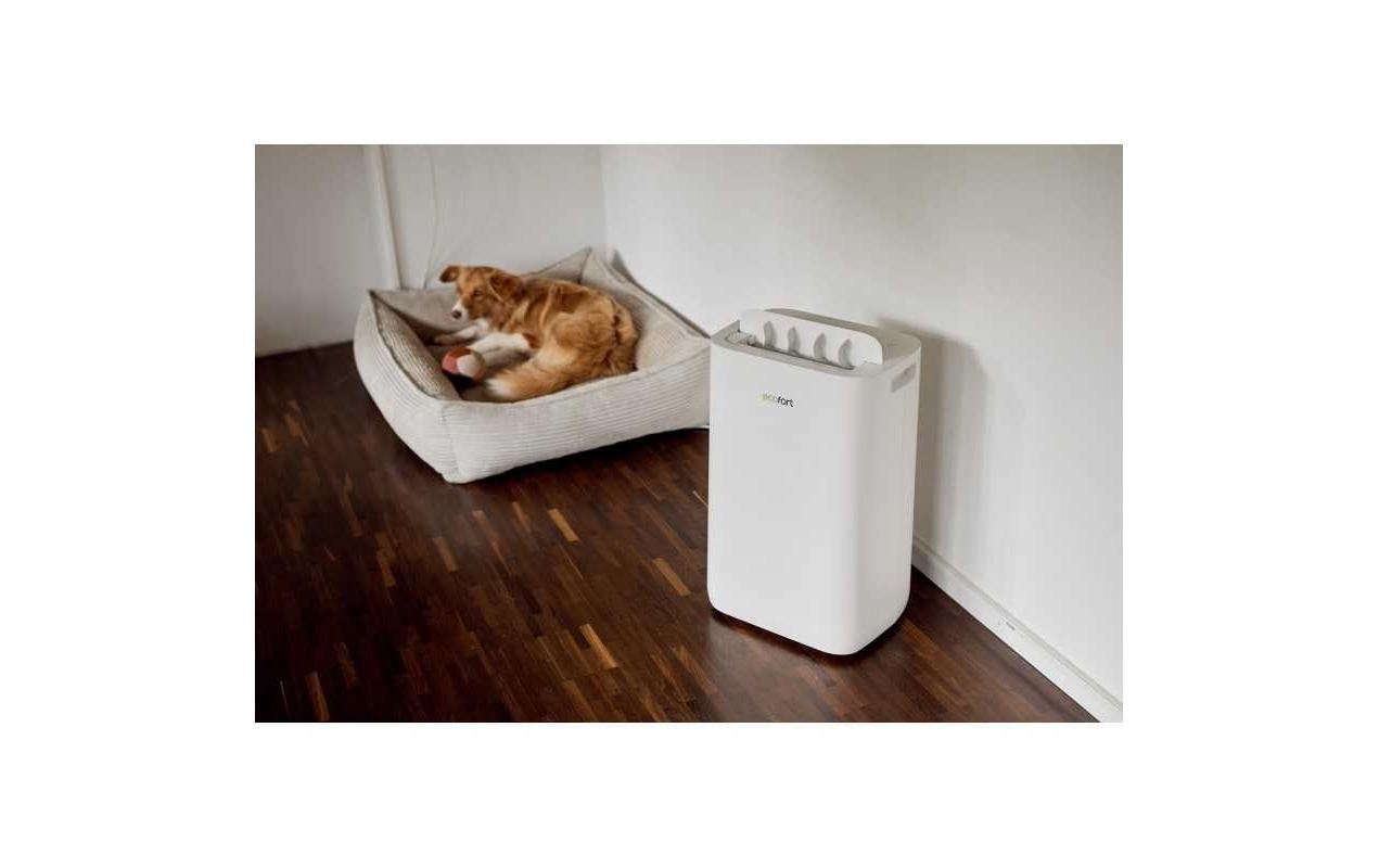 Luftentfeuchter »Ecofort ecoQ DryAir 20L Complete 50 m²« für 50 m³ Räume Tank 4,5 l
