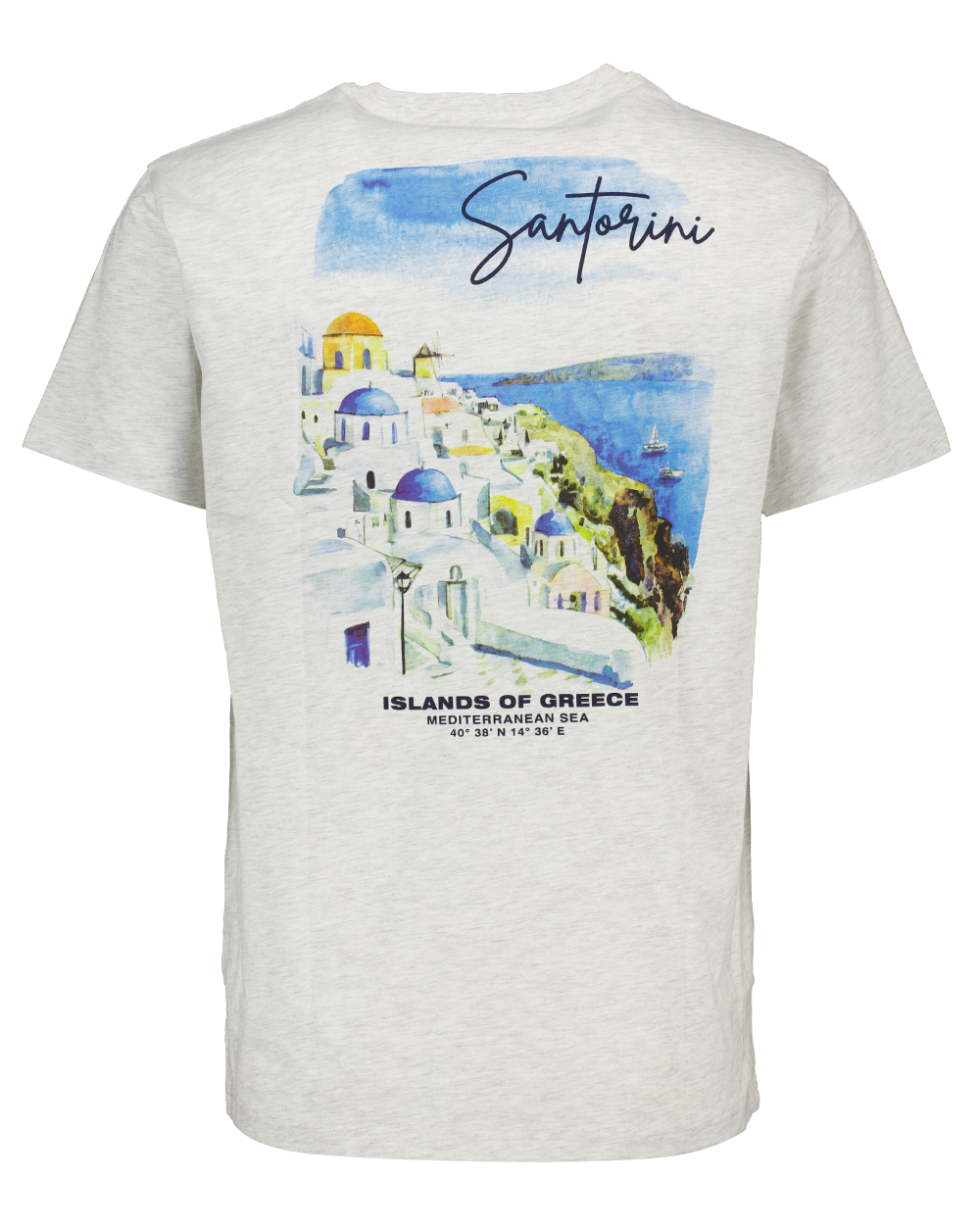 Heren T-shirt Grijs kopen? Goed en goedkoop