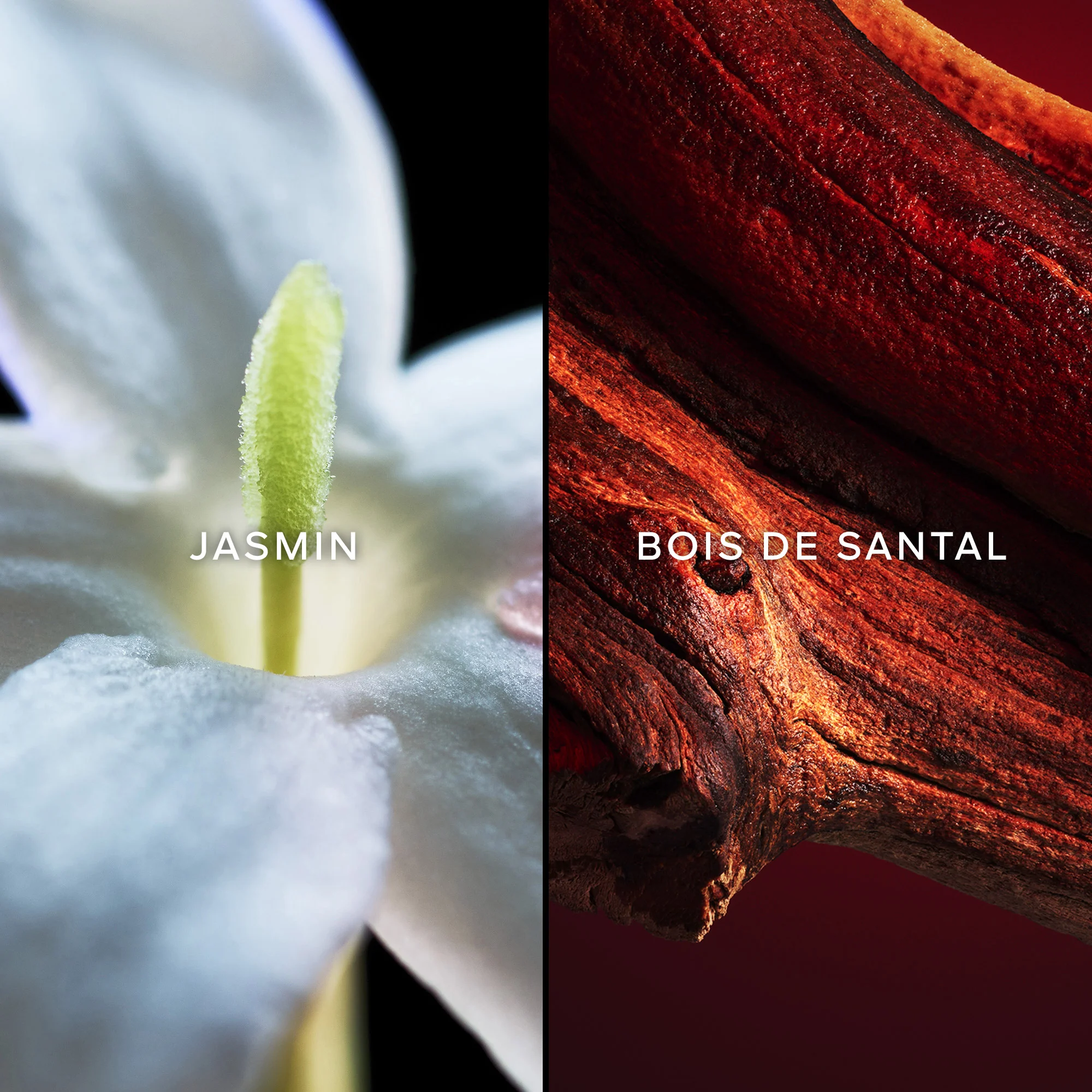Samsara - Eau de Toilette |