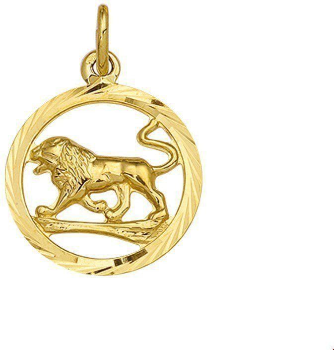 hanger sterrenbeeld gediamanteerd 14K geelgoud 4005681