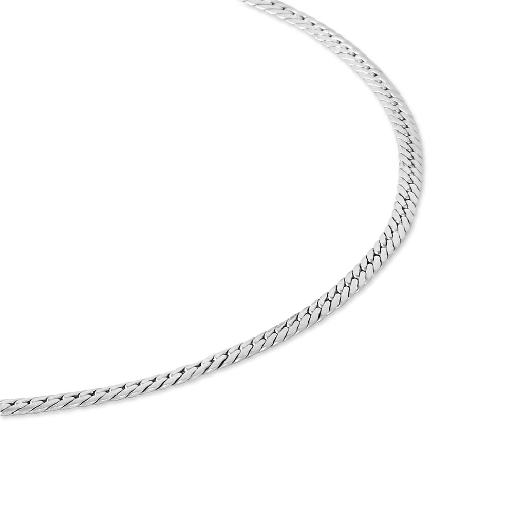 Collier Tamsinae Maille Anglaise Or Blanc