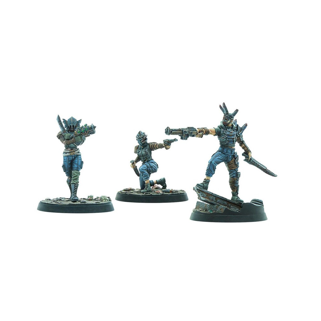 Fallout: Wasteland Warfare - Raiders - Disciples Leaders