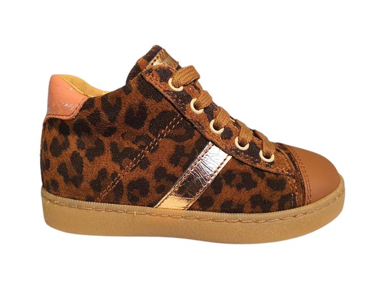 Romagnoli 7185 cognac