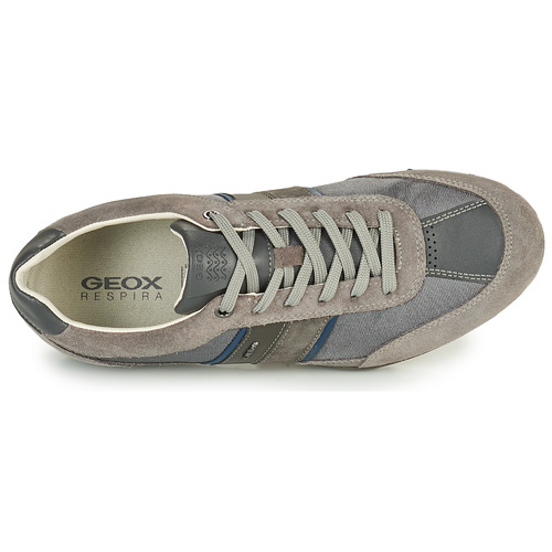 Geox - U WELLS C - Gris