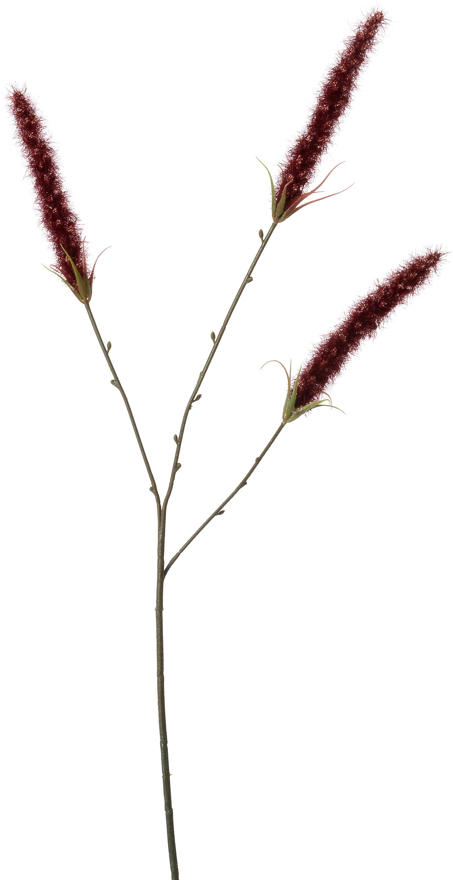 Intratuin kunsttak Lampenpoetsersgras paars 63 cm