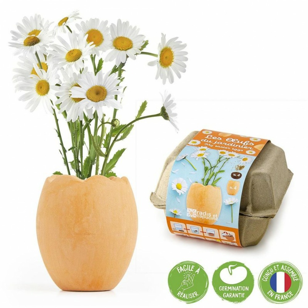 Kit de plantation 4 oeufs de pâques avec fleurs