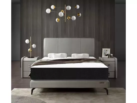 Europe Luxe Matelas 140x190 Mousse Memo - épaisseur 25cm - zones de confort mousse adaptative - Noir