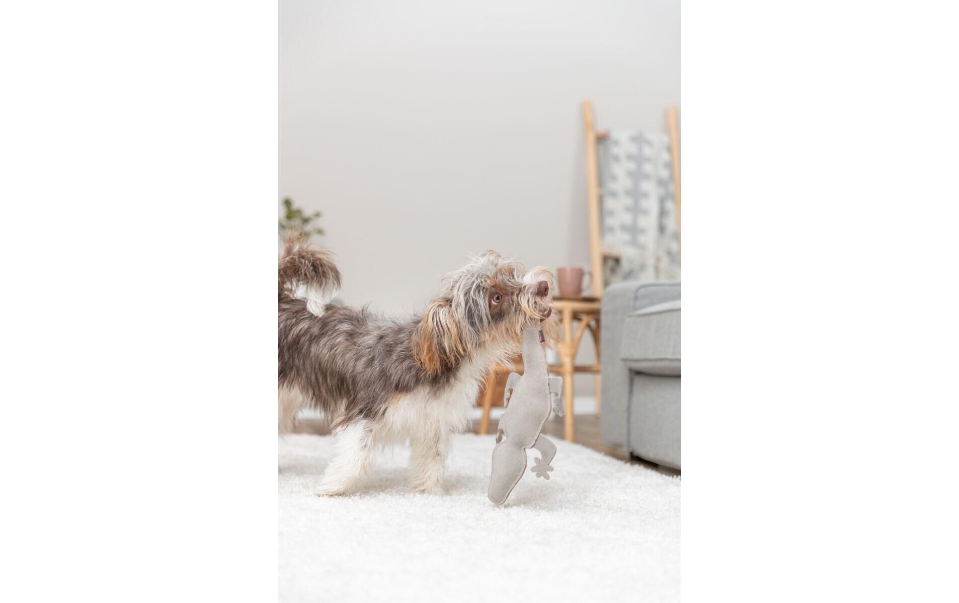 Hunde-Spielzeug Salamander 37 cmLederspielzeug für Hunde