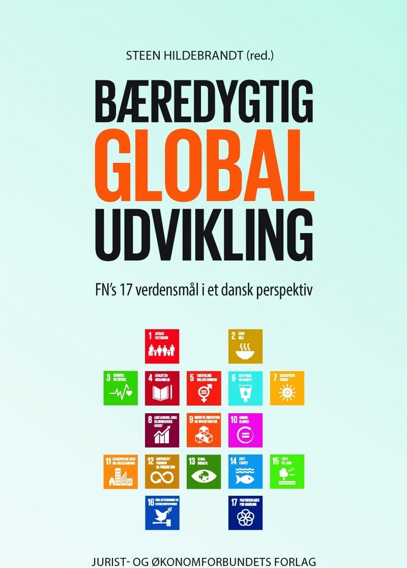 Bæredygtig Global Udvikling - Steen Hildebrandt - Bog