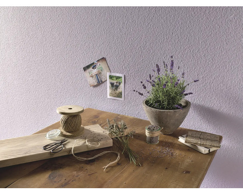 Erfurt vliesbehang met rauhfaser 1000305 Elegance 15x0,53 m