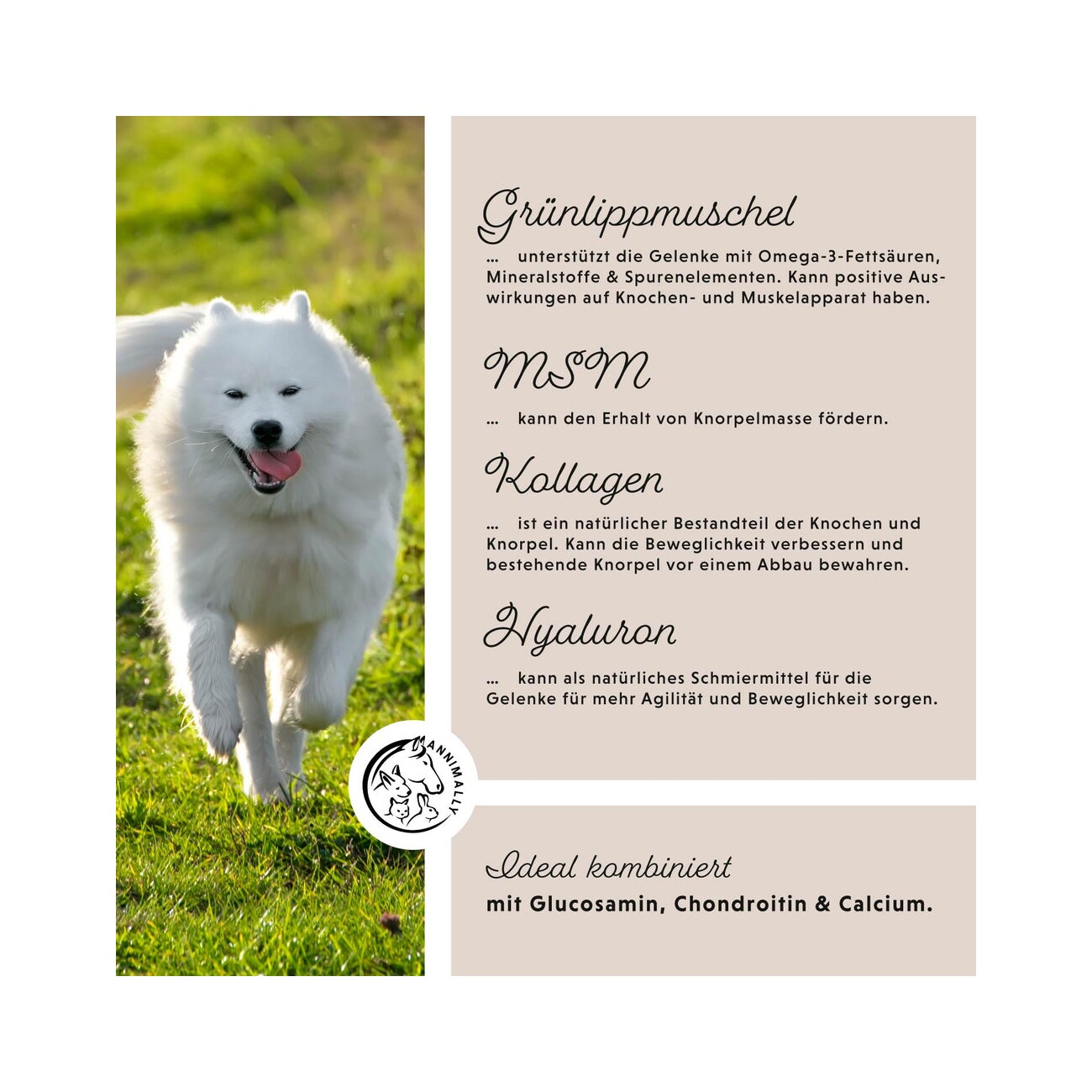 Annimally Gelenkpulver 300 g