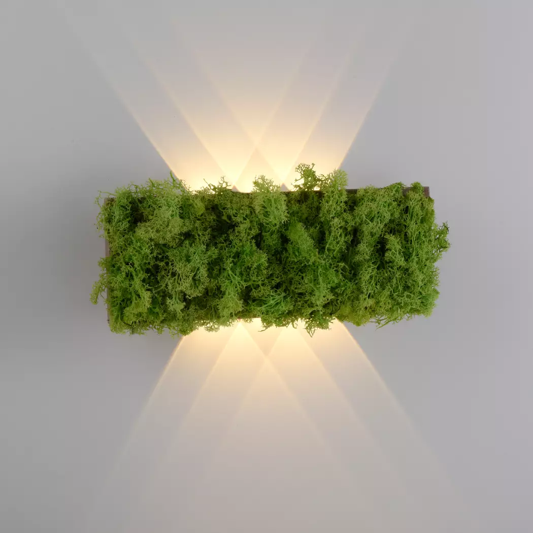 LED-Wandleuchte Green Carl