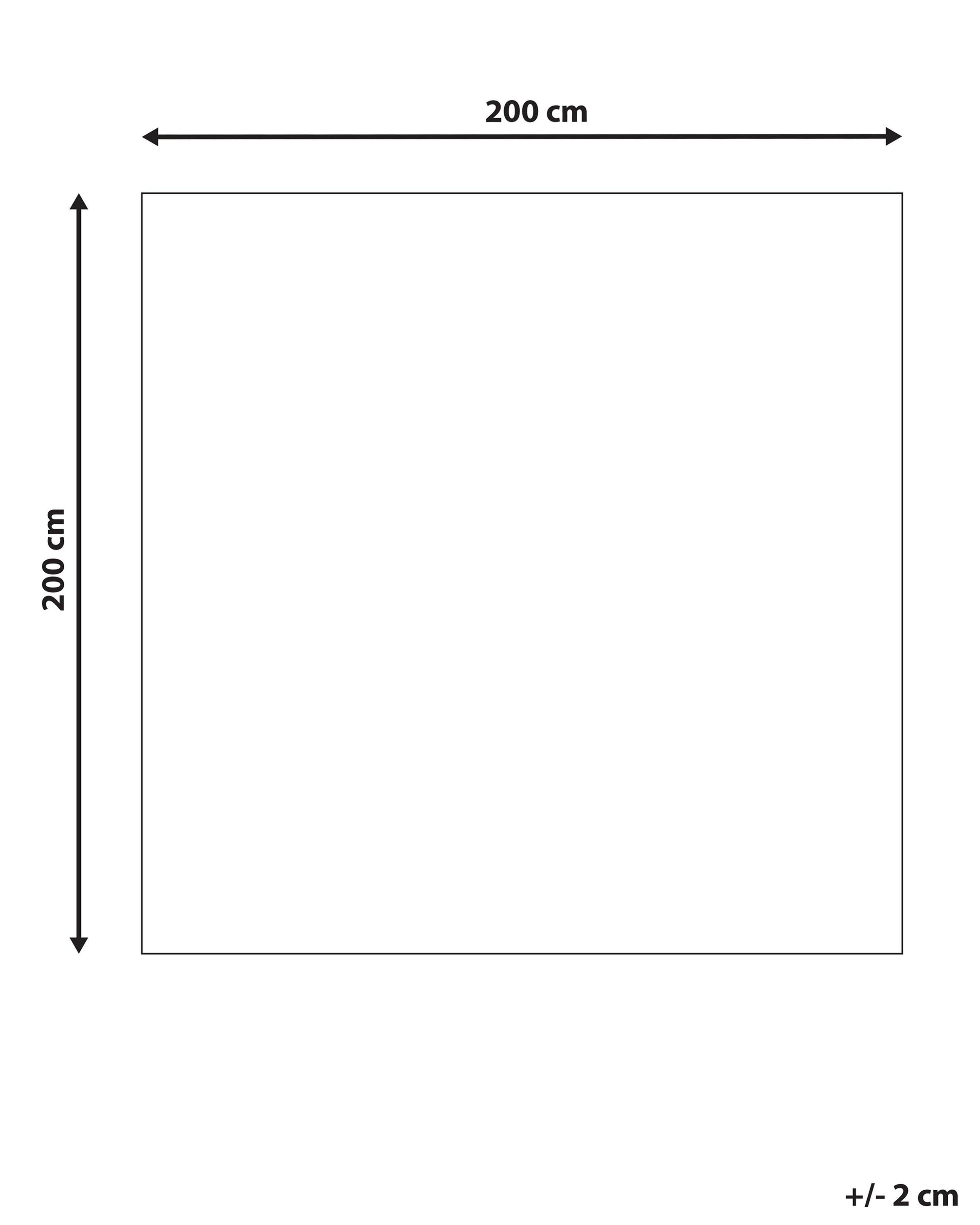 Vloerkleed KUMRU Beige 200 x 200 cm Wol