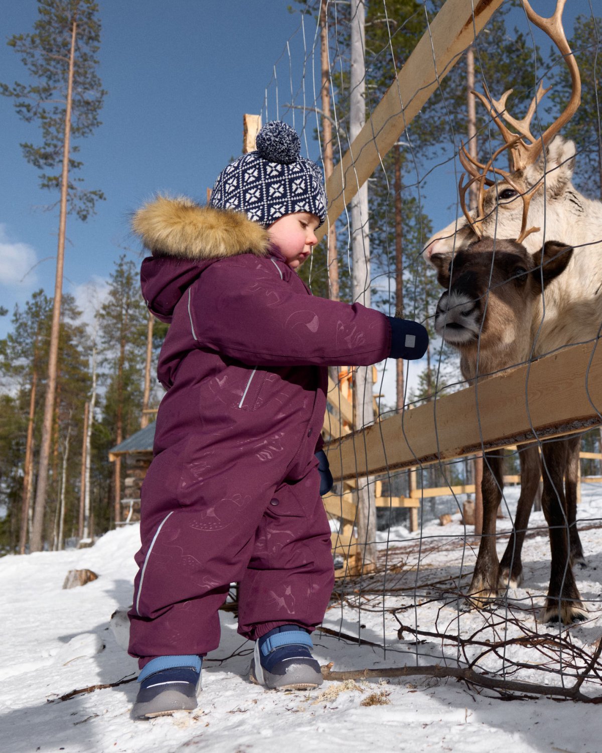 Dundress Aapua – Varm