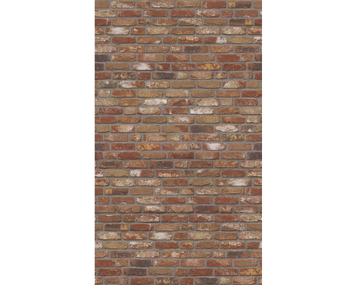 SCHULTE DecoDesign douchewandpaneel, baksteenrood, 210 x 100 cm, D1901021 624 210