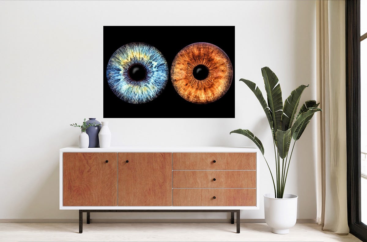 Iris Fotografie für 2 Haßfurt