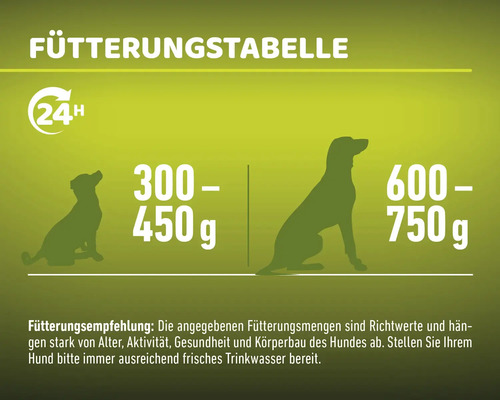 Mr. BEEF natvoer voor honden, patébakjes, 6 x 300 g