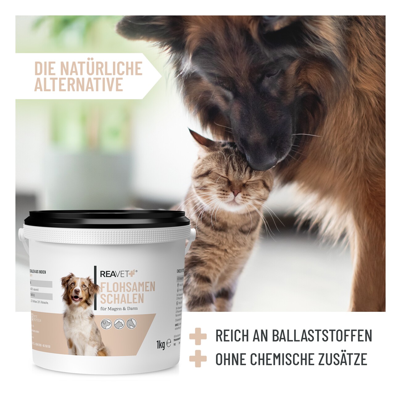 REAVET Flohsamenschalen 1kg